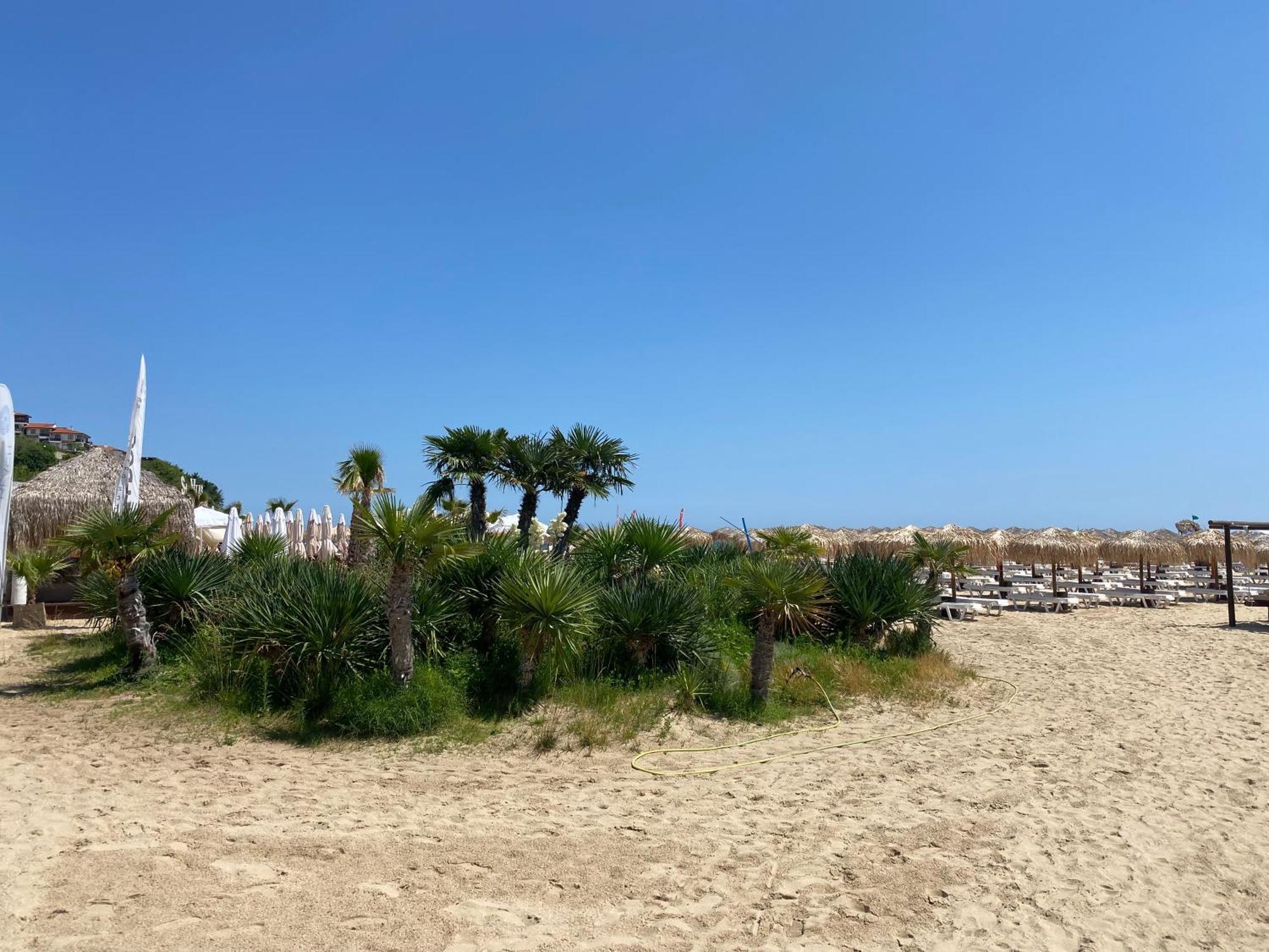 Horizon 10 'В' Apartment Sveti Vlas Esterno foto